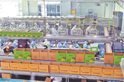 山西海玉園食品產業(yè)園有序生產，助力食品銷售穩(wěn)步增長